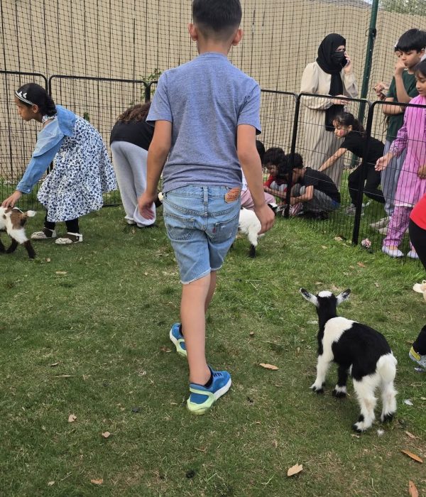 488727299_1082861660551652_4630940439363840378_n